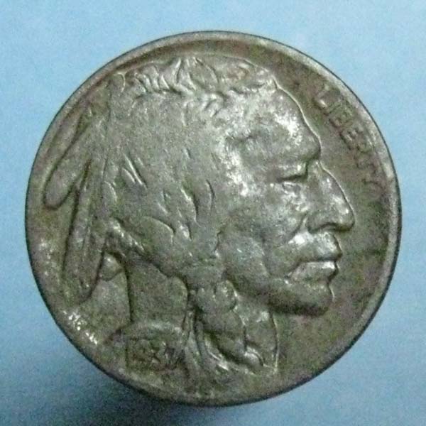 Buffalo-Nickel-From-My-Yard